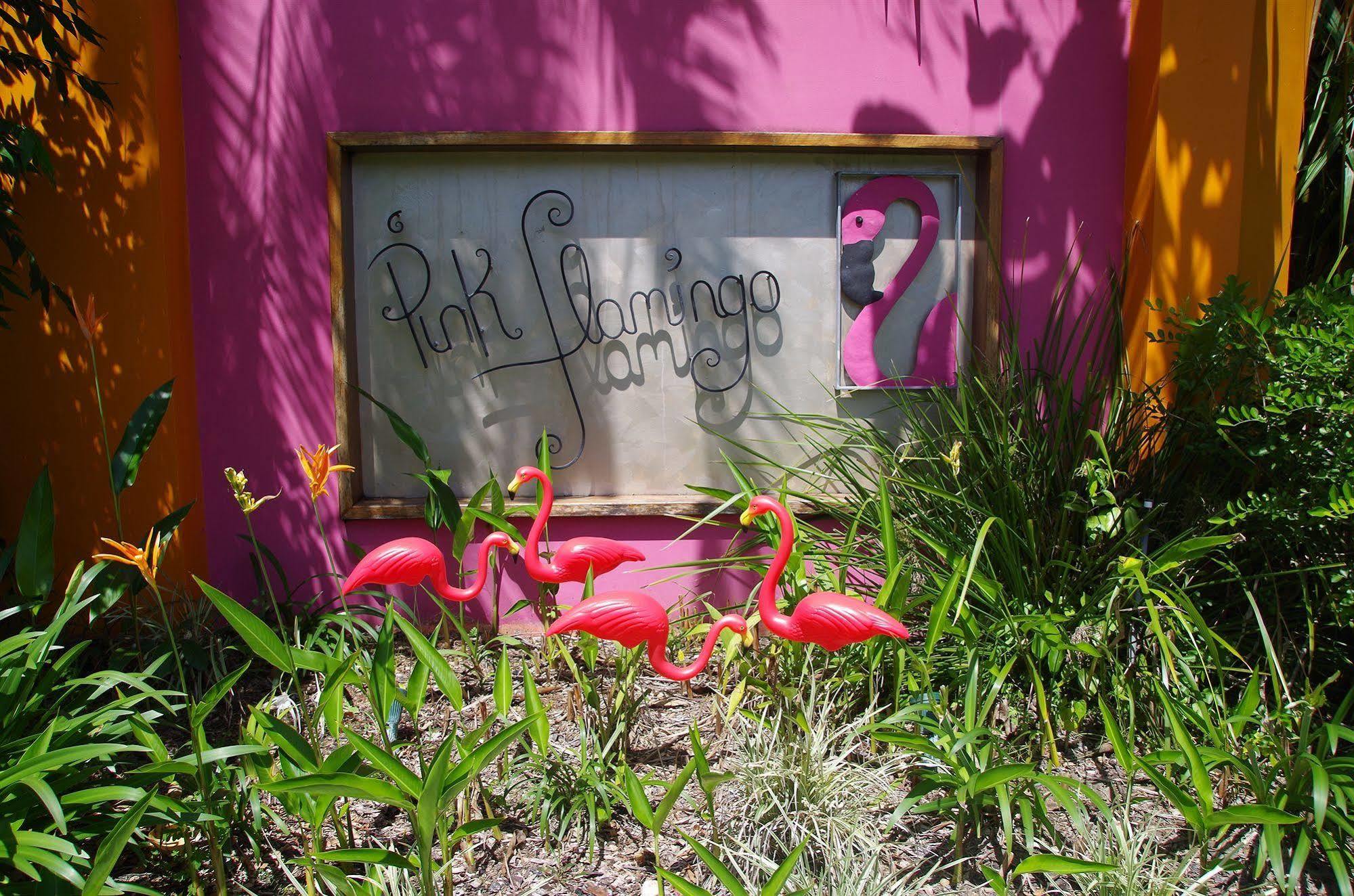 Pink Flamingo Resort Порт Дуглас Экстерьер фото